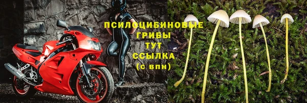 прущие грибы Покачи