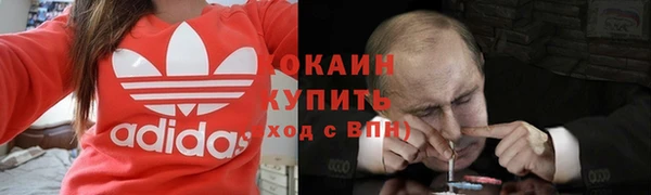 прущие грибы Покачи
