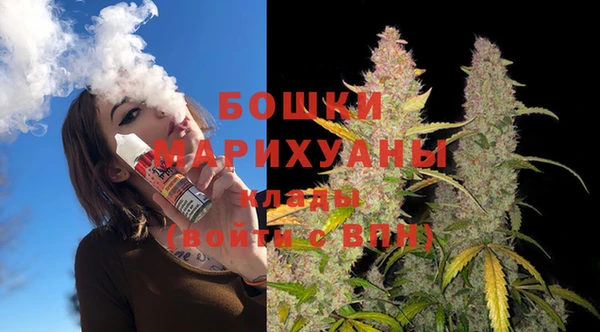 прущие грибы Покачи