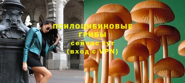 прущие грибы Покачи