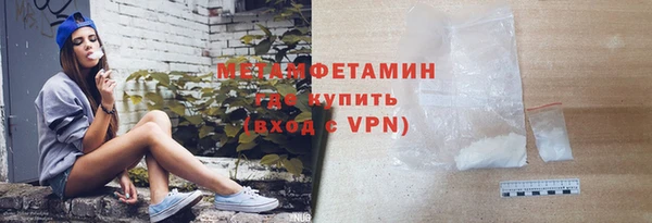 прущие грибы Покачи